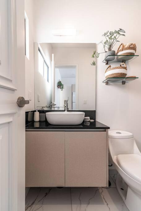 Tonala Roma Sur By Homes Mexiko-Stadt