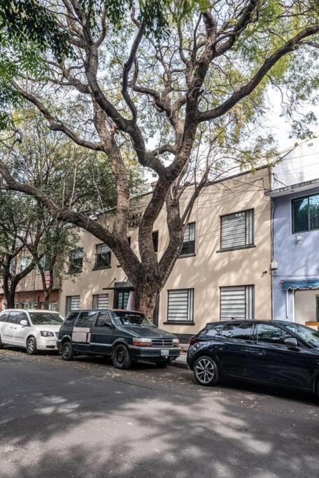 Tonala Roma Sur By Homes Apartment Mexiko-Stadt